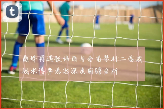巅峰再遇张伟丽与舍甫琴科二番战战术博弈悬念深度前瞻分析
