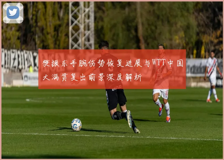 樊振东手腕伤势恢复进展与WTT中国大满贯复出前景深度解析