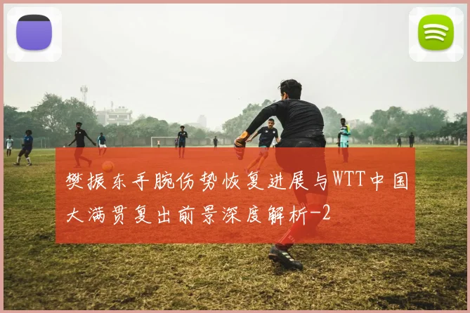 樊振东手腕伤势恢复进展与WTT中国大满贯复出前景深度解析