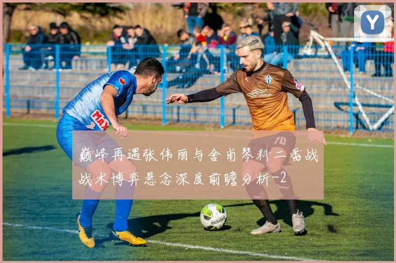 巅峰再遇张伟丽与舍甫琴科二番战战术博弈悬念深度前瞻分析